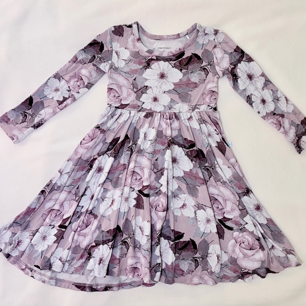 Posh Peanut 2T Bamboo Long Sleeve Twirl Dress Purple Floral